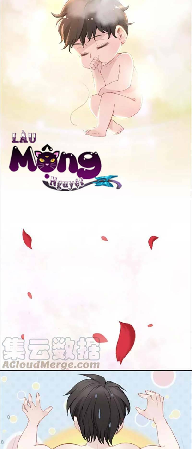Quyền Thiểu, Nhĩ Lão Bà Yêu Bào Liễu: Chapter 48