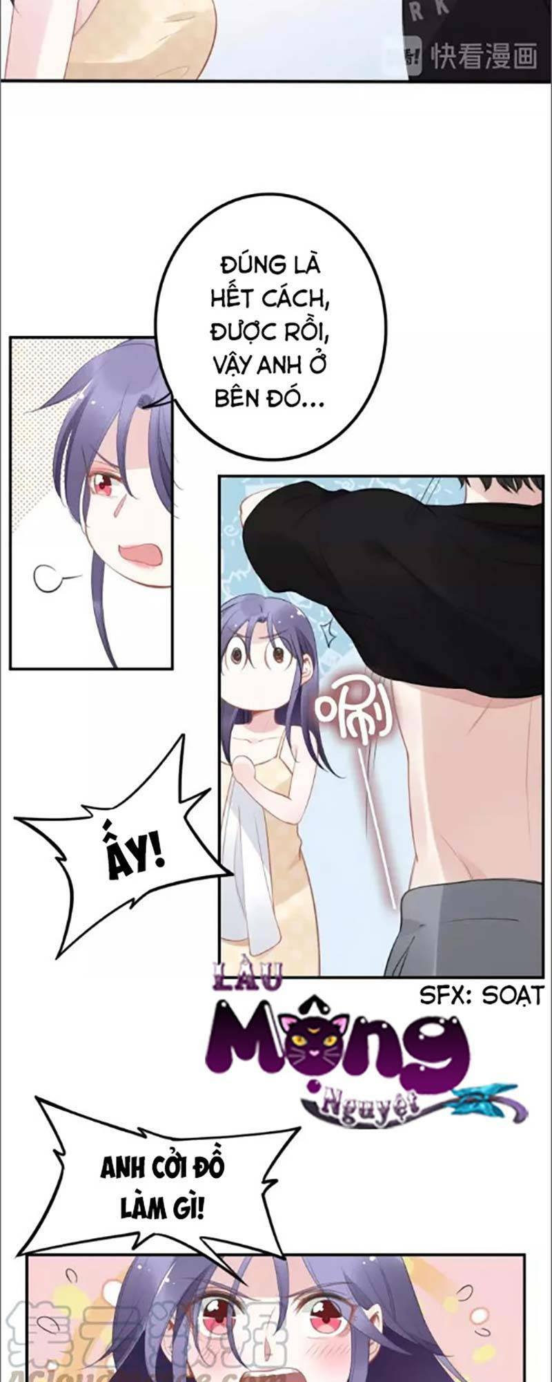Quyền Thiểu, Nhĩ Lão Bà Yêu Bào Liễu: Chapter 48