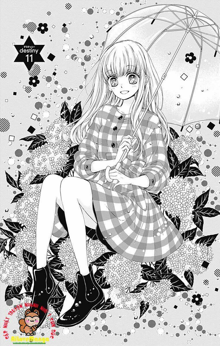 Saber-San Chơi Fgo!: Chapter 11