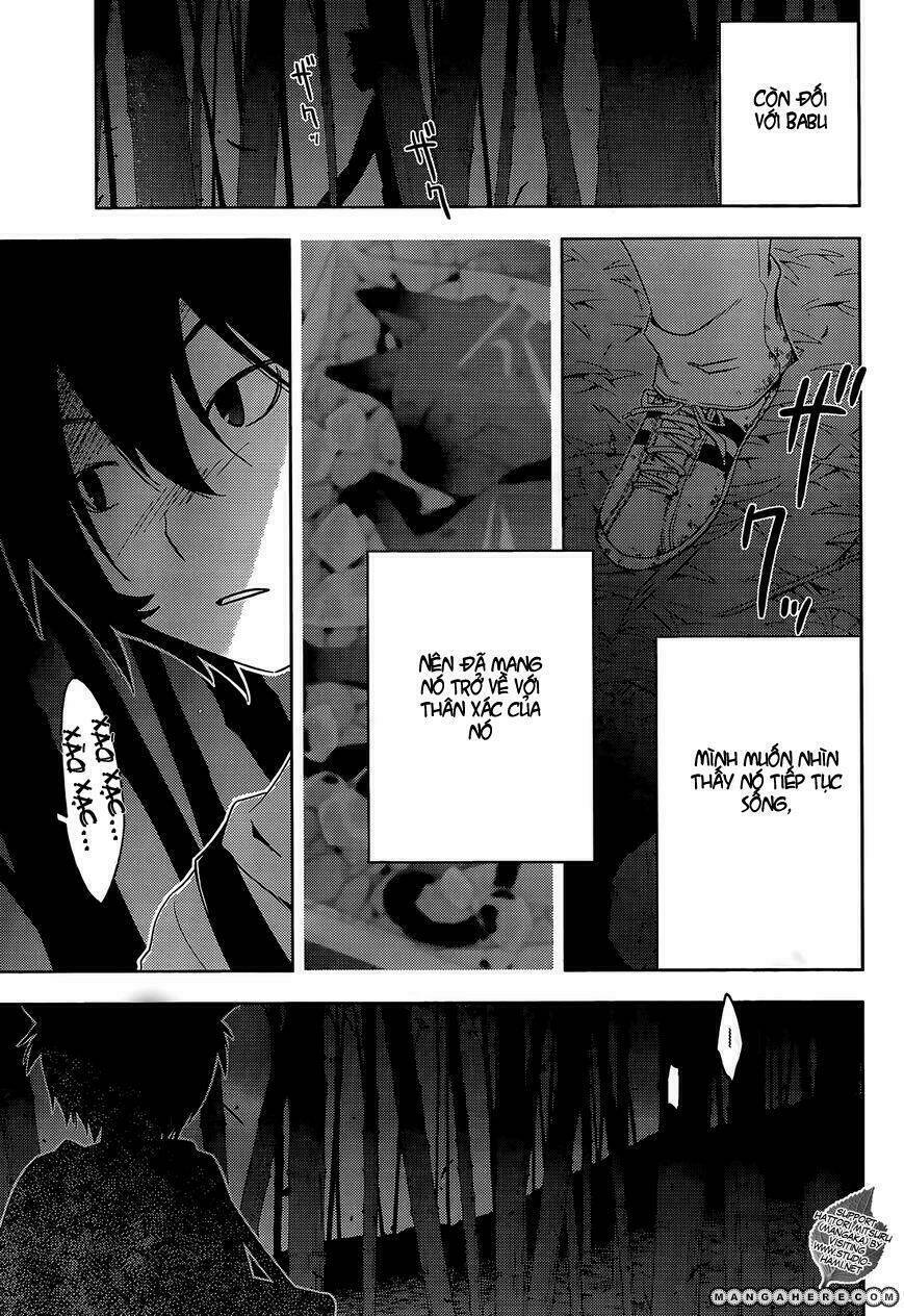 Sanka Rea: Chapter 26