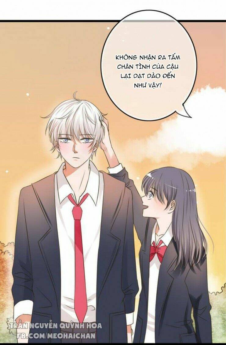 Sau Con Mưa Mùa Hạ: Chapter 4