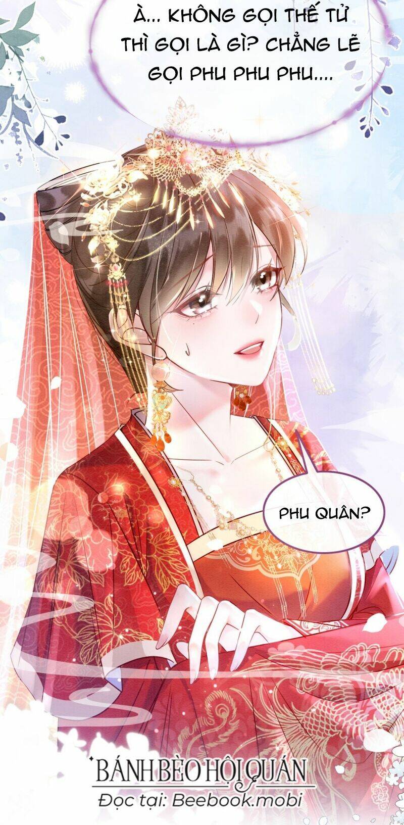 Sau Khi Nàng Bị Đánh Chết, Các Anh Trai Đều Hối Hận!: Chapter 0
