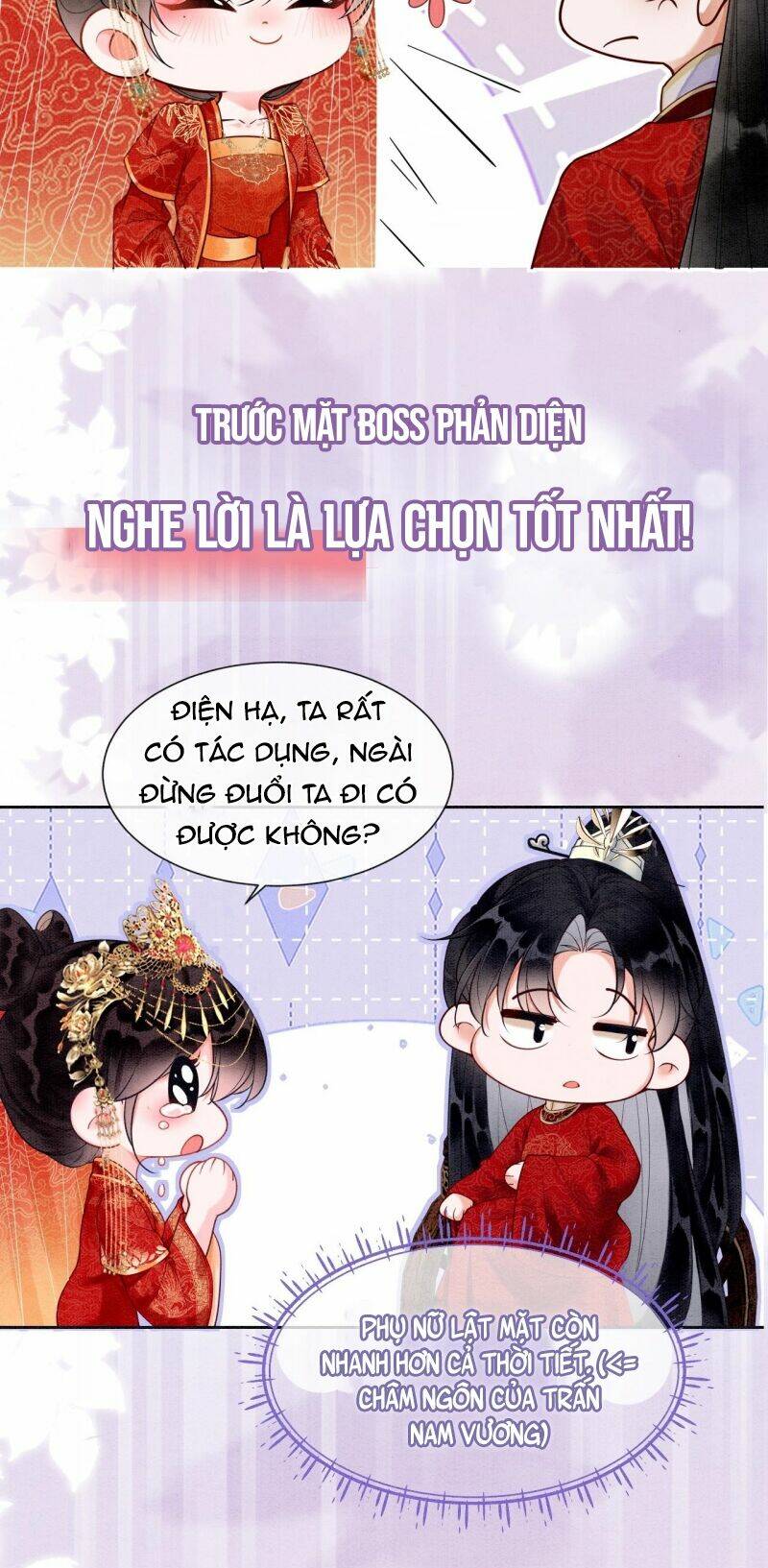 Sau Khi Nàng Bị Đánh Chết, Các Anh Trai Đều Hối Hận!: Chapter 0