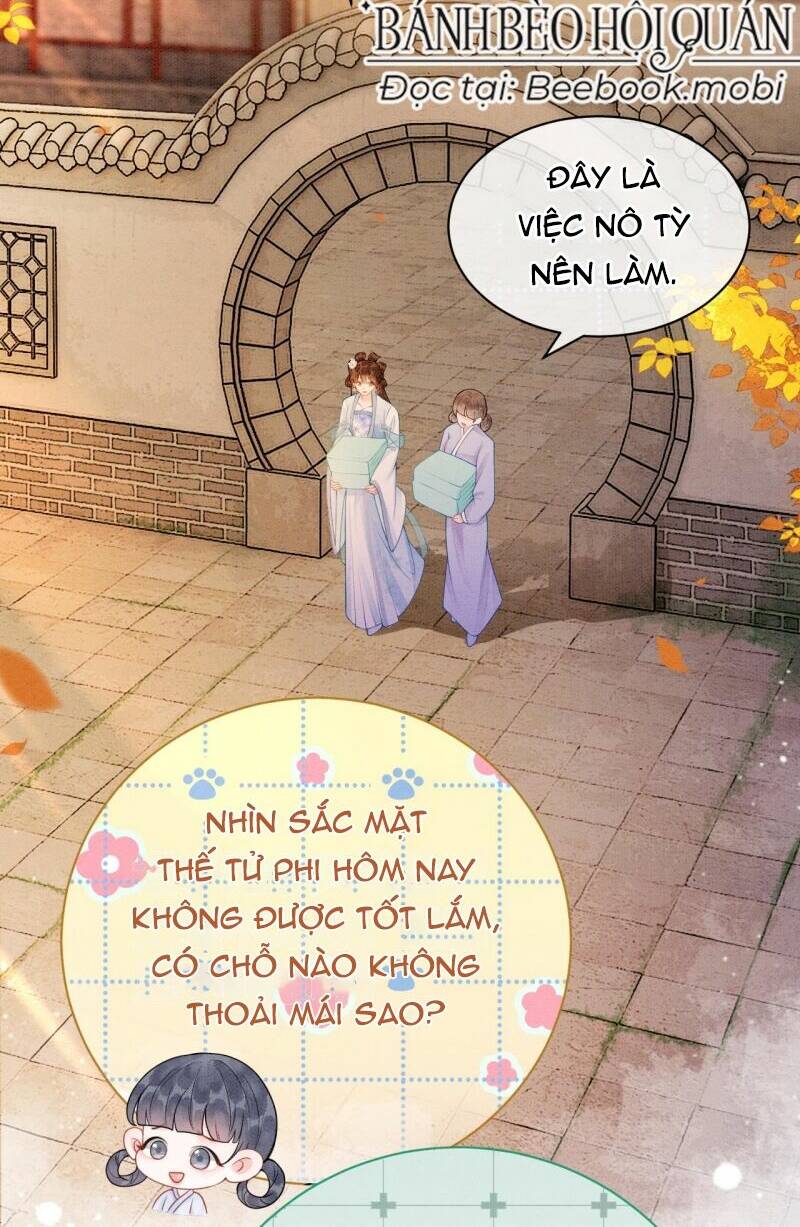 Sau Khi Nàng Bị Đánh Chết, Các Anh Trai Đều Hối Hận!: Chapter 11