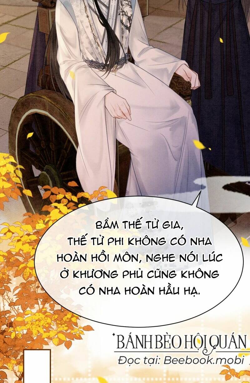 Sau Khi Nàng Bị Đánh Chết, Các Anh Trai Đều Hối Hận!: Chapter 11