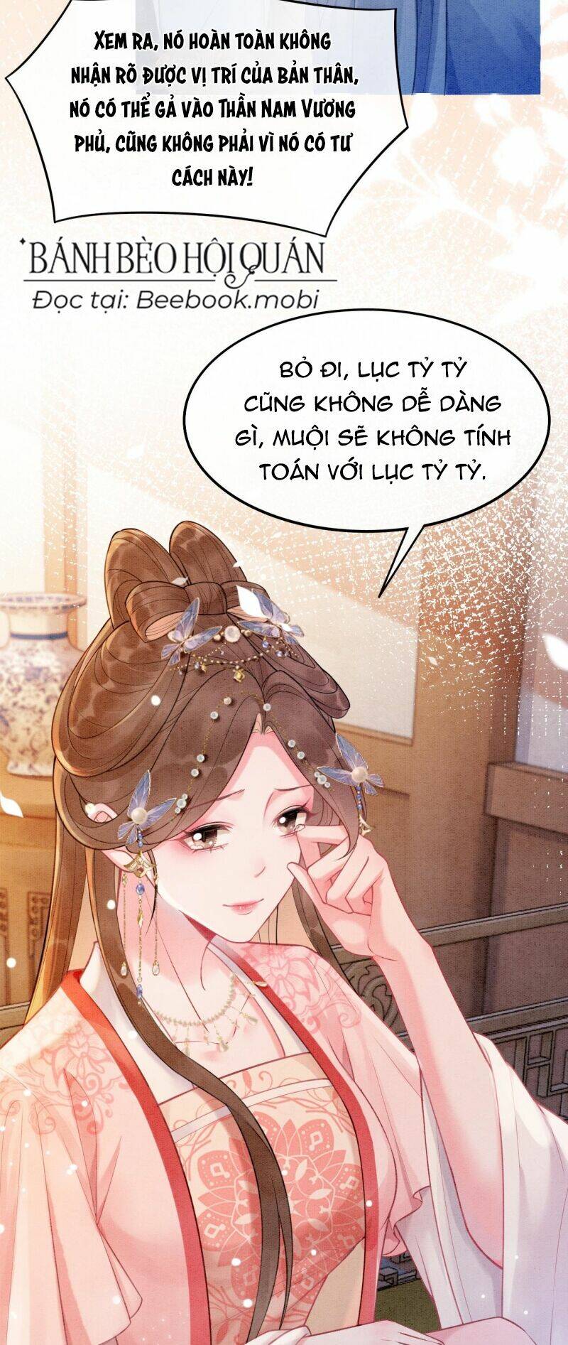 Sau Khi Nàng Bị Đánh Chết, Các Anh Trai Đều Hối Hận!: Chapter 4