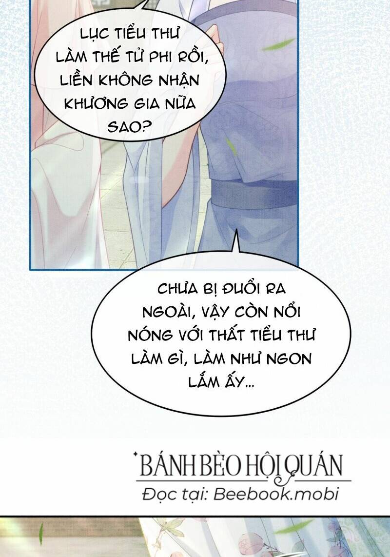 Sau Khi Nàng Bị Đánh Chết, Các Anh Trai Đều Hối Hận!: Chapter 4