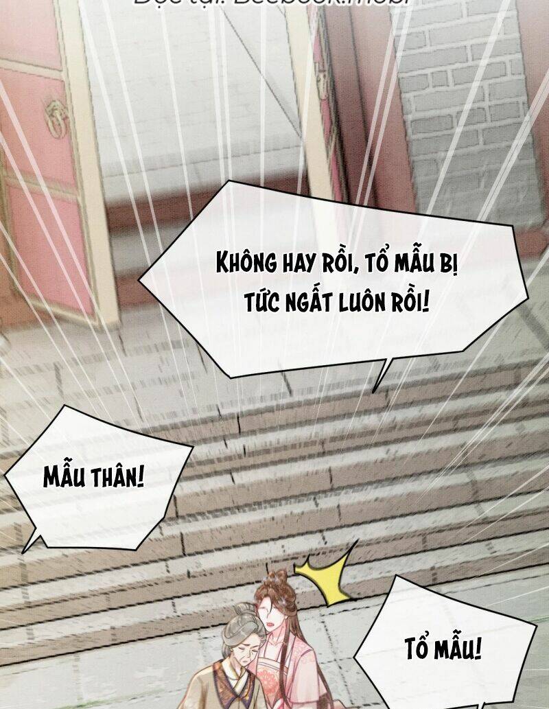Sau Khi Nàng Bị Đánh Chết, Các Anh Trai Đều Hối Hận!: Chapter 5