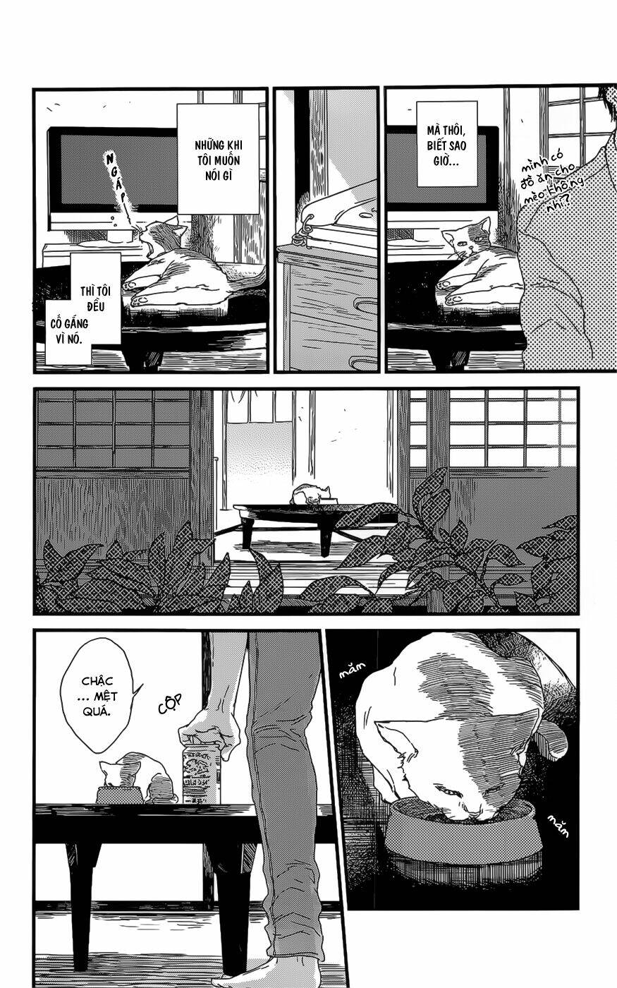 Shiki No Zenjitsu: Chapter 7