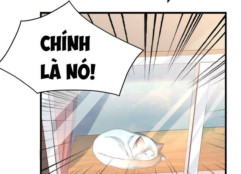 Siêu Năng Bất Lương Học Bá: Chapter 6