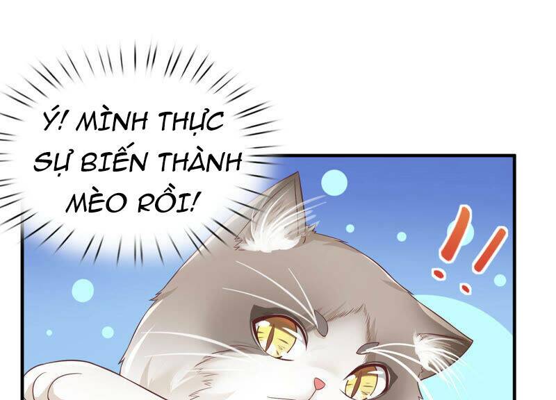 Siêu Năng Bất Lương Học Bá: Chapter 6