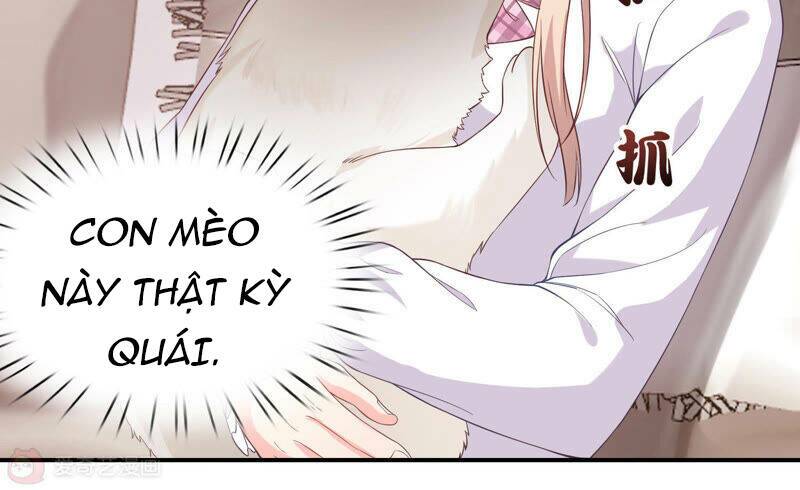 Siêu Năng Bất Lương Học Bá: Chapter 7
