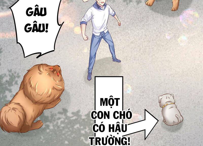 Siêu Năng Bất Lương Học Bá: Chapter 7