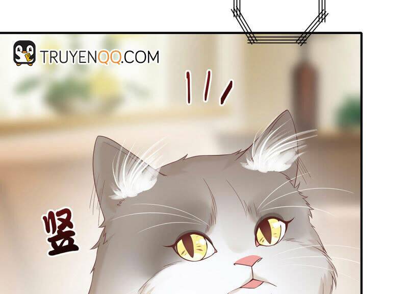 Siêu Năng Bất Lương Học Bá: Chapter 7