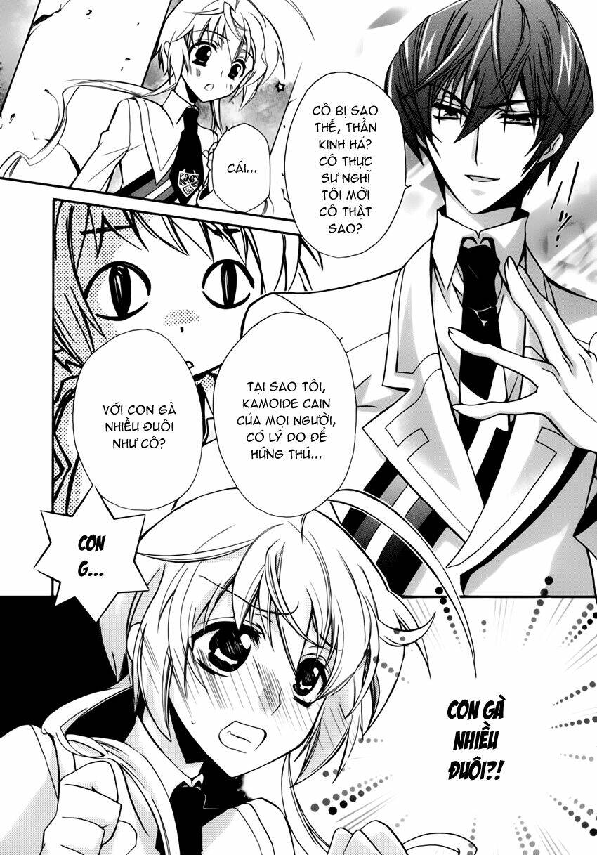 S.L.H (Stray Love Hearts): Chapter 3