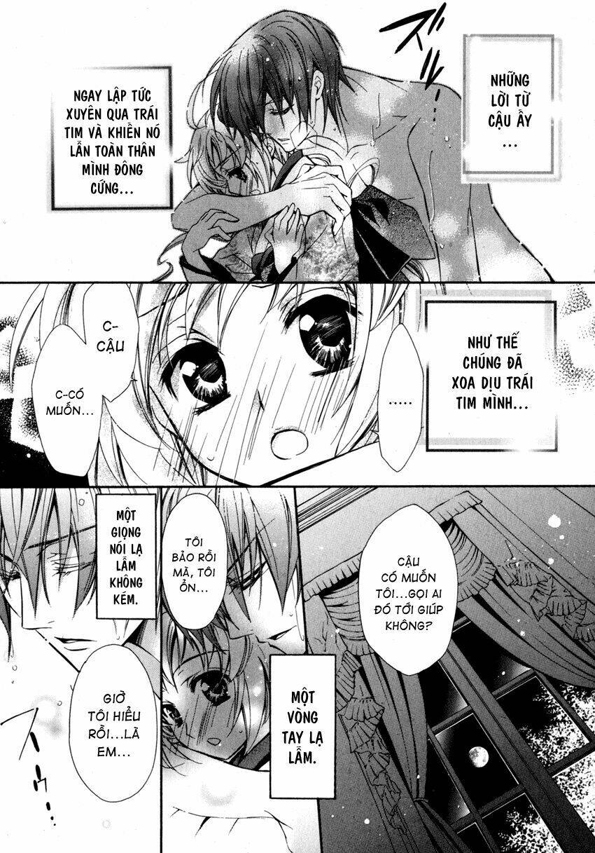 S.L.H (Stray Love Hearts): Chapter 8