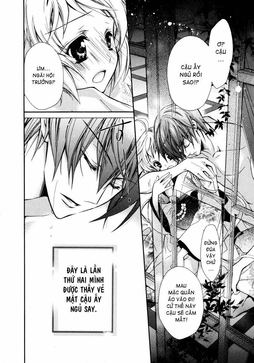 S.L.H (Stray Love Hearts): Chapter 8