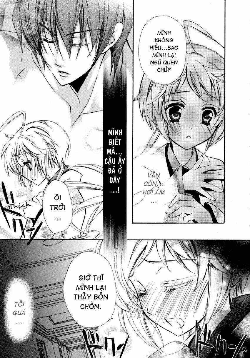 S.L.H (Stray Love Hearts): Chapter 8