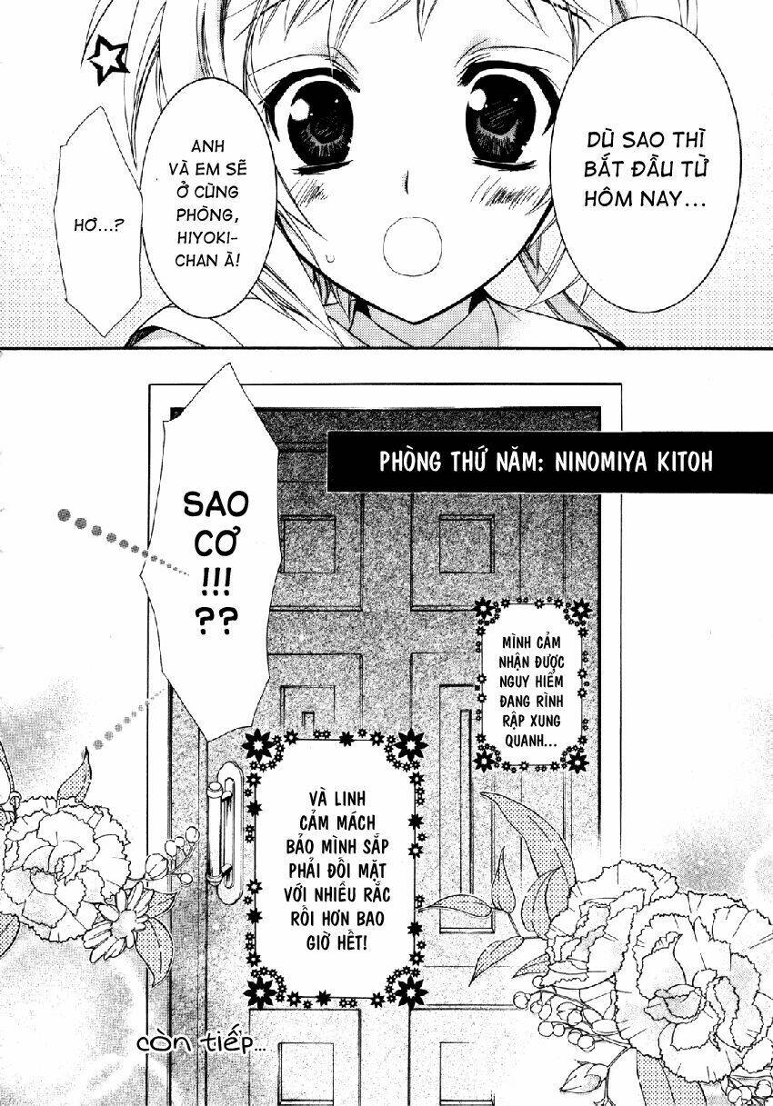 S.L.H (Stray Love Hearts): Chapter 8