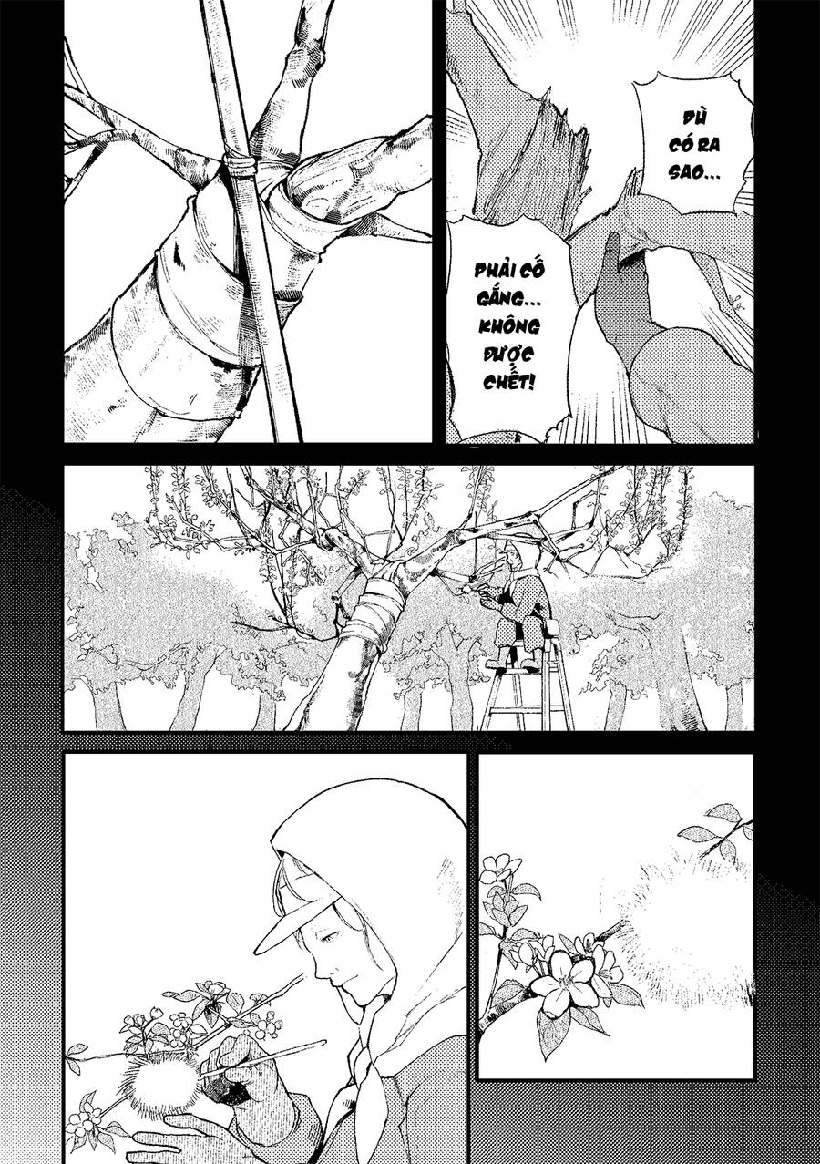 Sống Lại Tuổi 20: Chapter 194.5