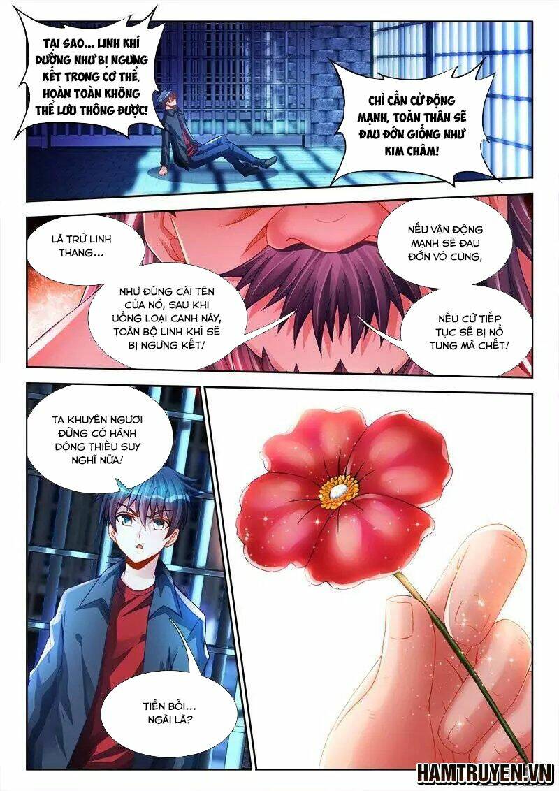 Song Tu Đạo Lữ Của Tôi: Chapter 205