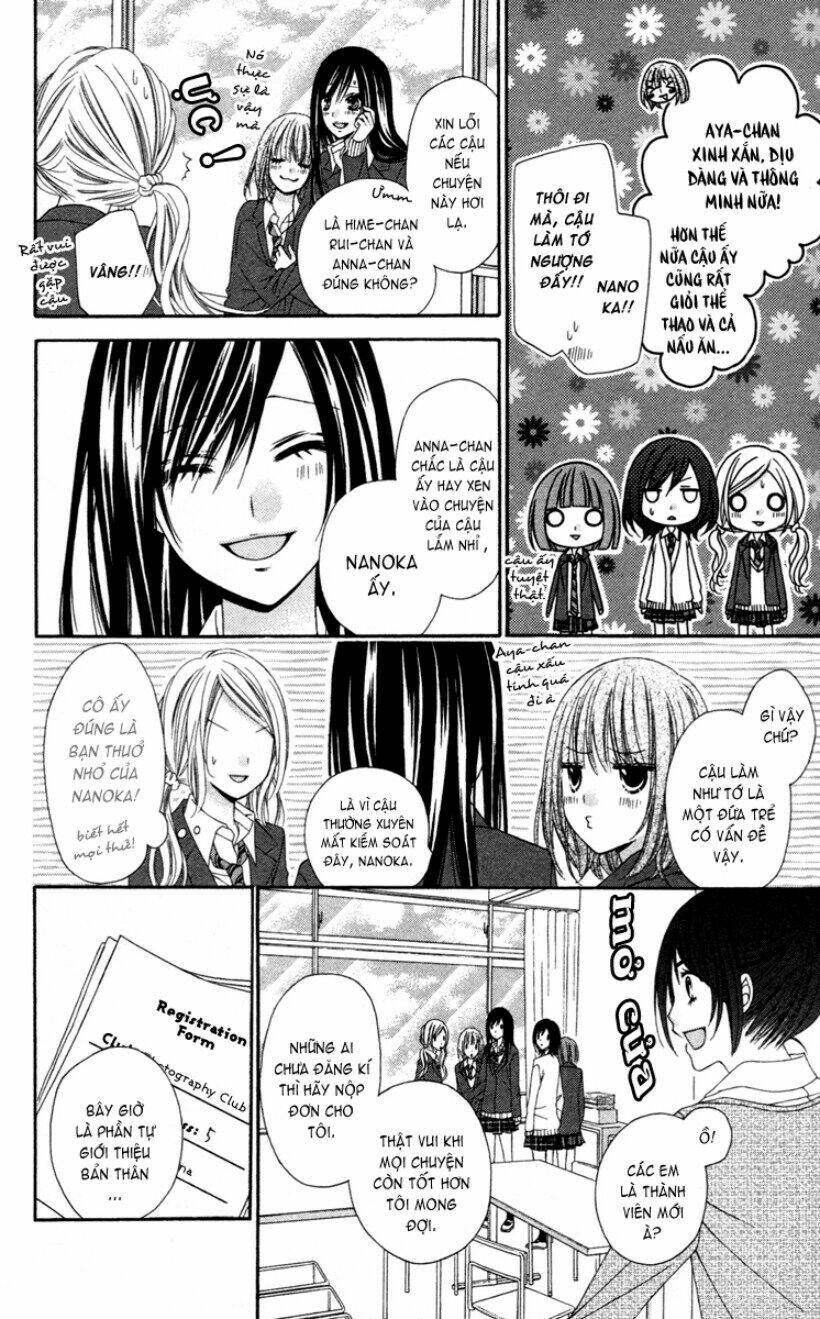 Stardust Wink: Chapter 19