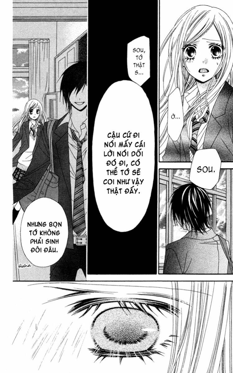 Stardust Wink: Chapter 20