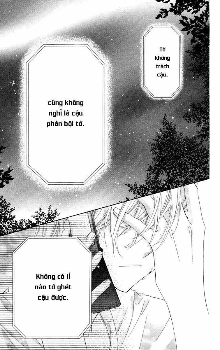Stardust Wink: Chapter 35