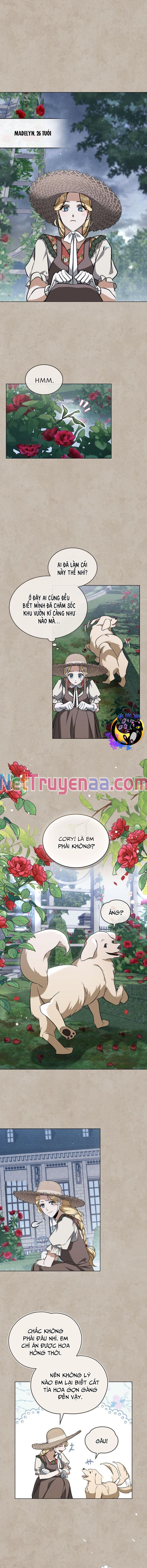 Sự chuộc tội của bá tước Nottingham: Chapter 4