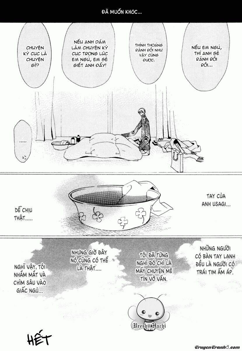 Sự Lãng Mạn Thuần Khiết: Chapter 5