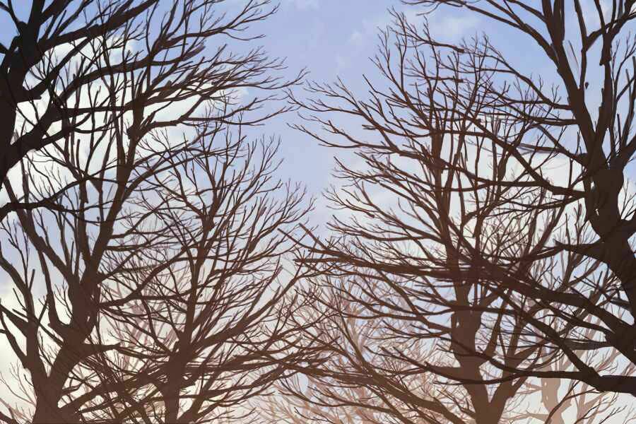 Sự Trở Lại Của Người Chơi Cấp Cao Nhất: Chapter 111