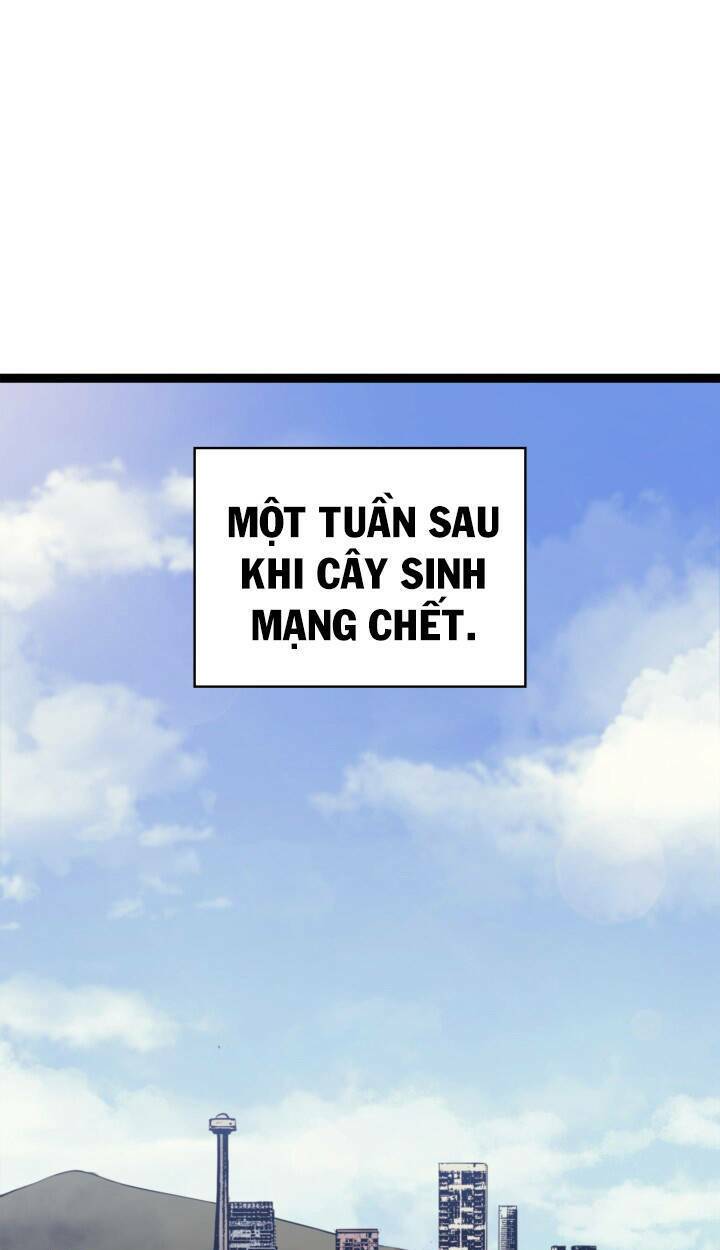 Sự Trở Lại Của Người Chơi Cấp Cao Nhất: Chapter 122