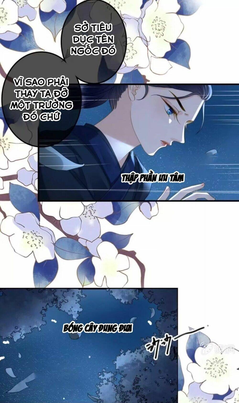 Haikyuu: Chapter 108