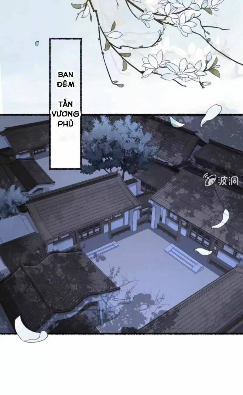 Haikyuu: Chapter 137