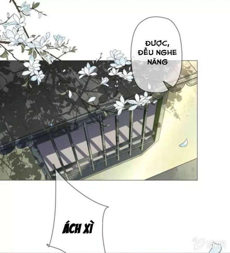 Haikyuu: Chapter 142
