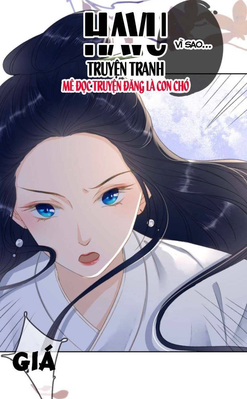 Haikyuu: Chapter 165