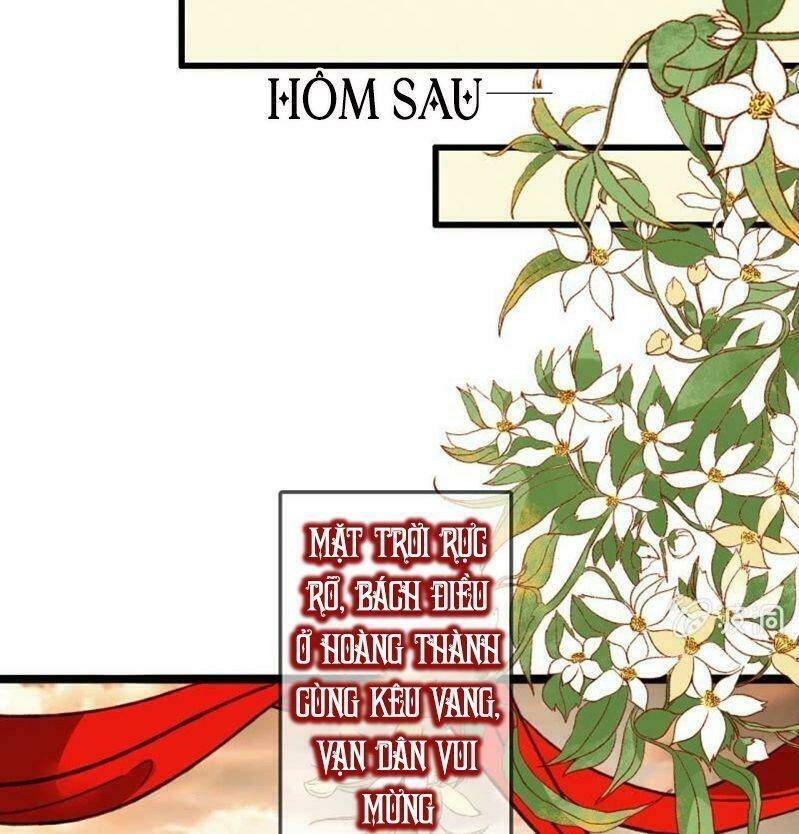 Haikyuu: Chapter 204