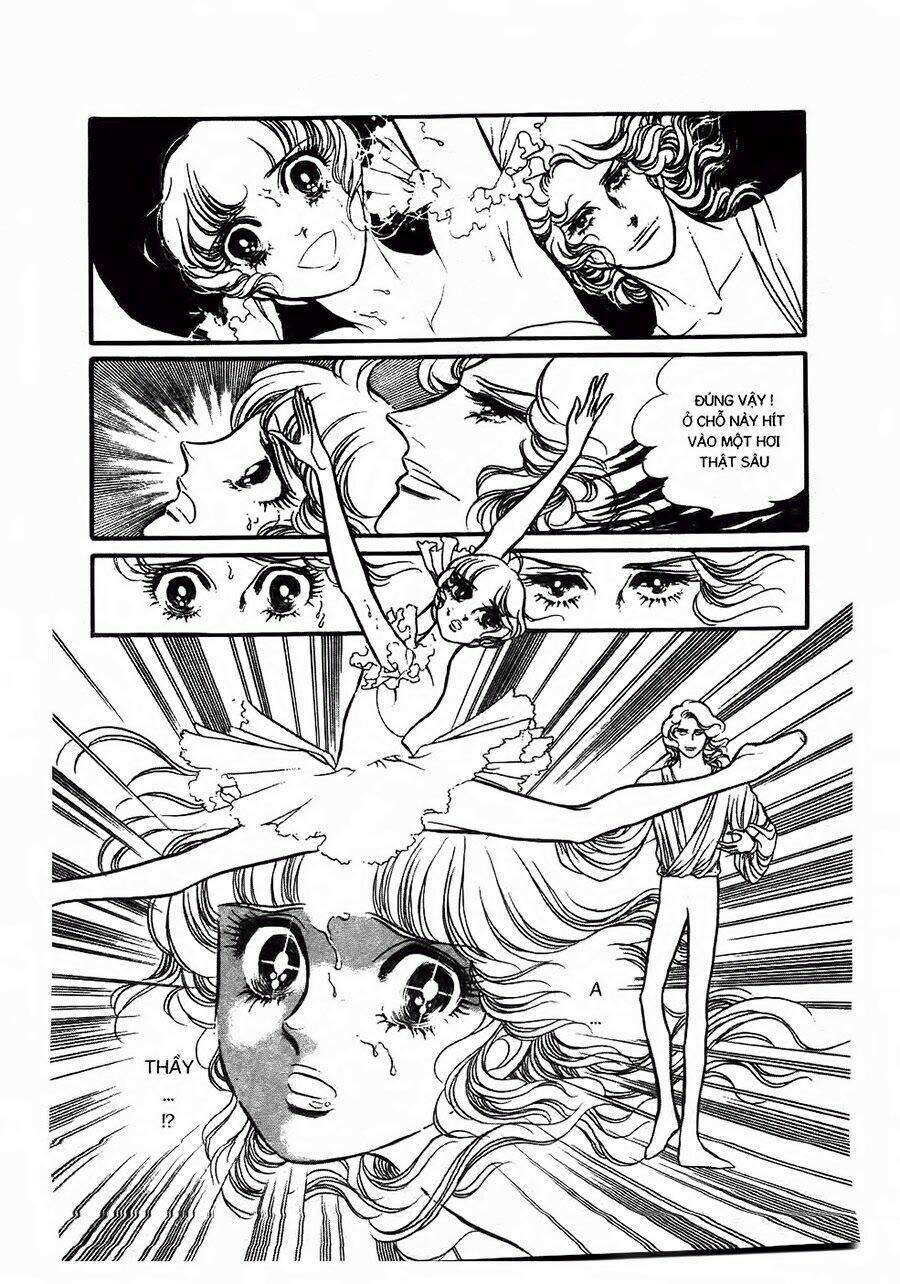 Swan - Vũ Khúc Thiên Nga: Chapter 11