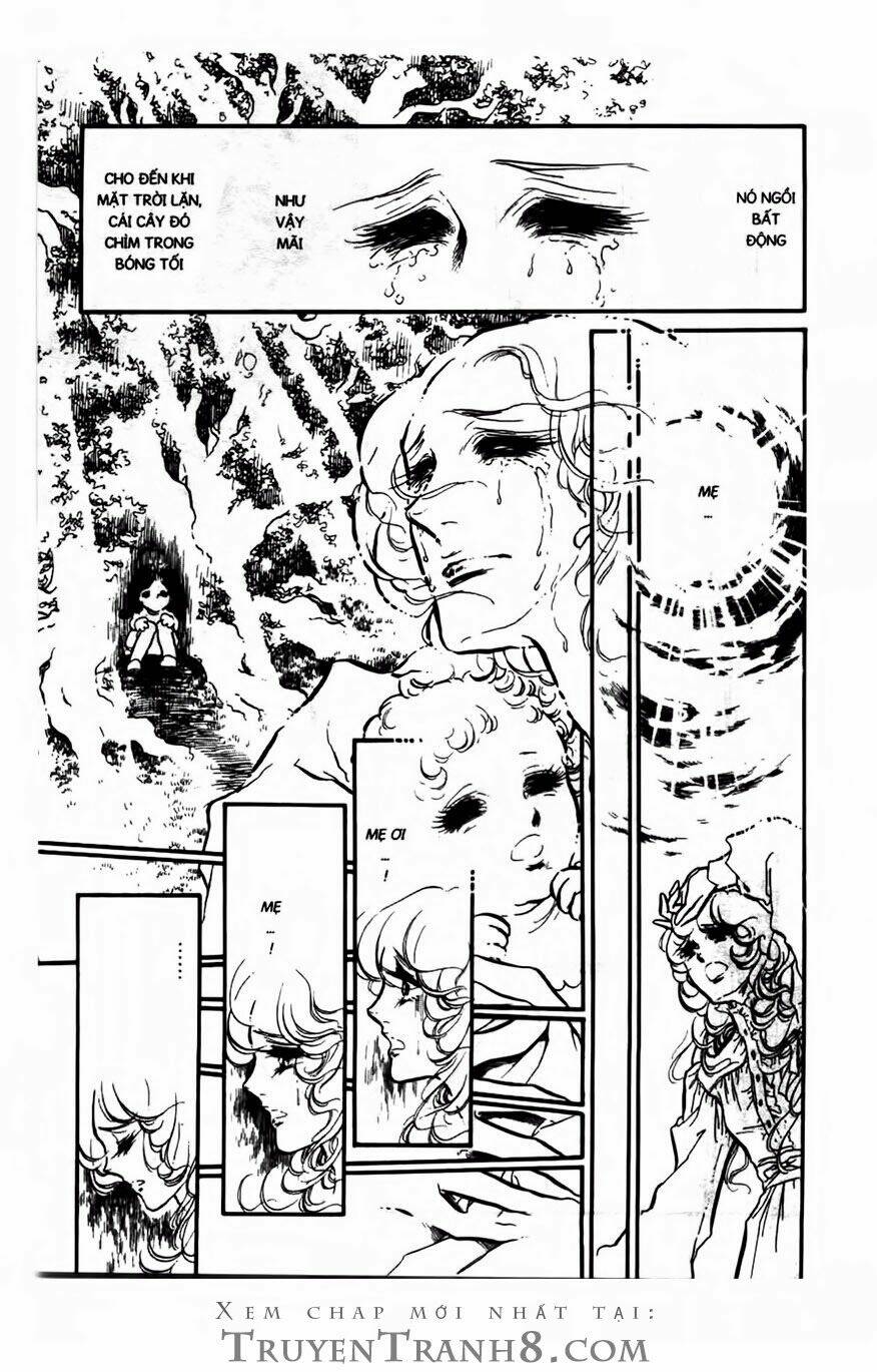 Swan - Vũ Khúc Thiên Nga: Chapter 116