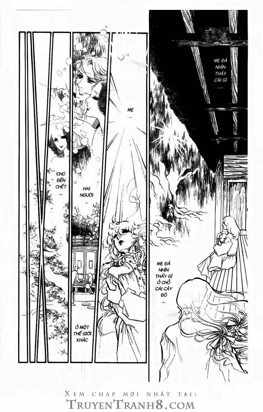 Swan - Vũ Khúc Thiên Nga: Chapter 116