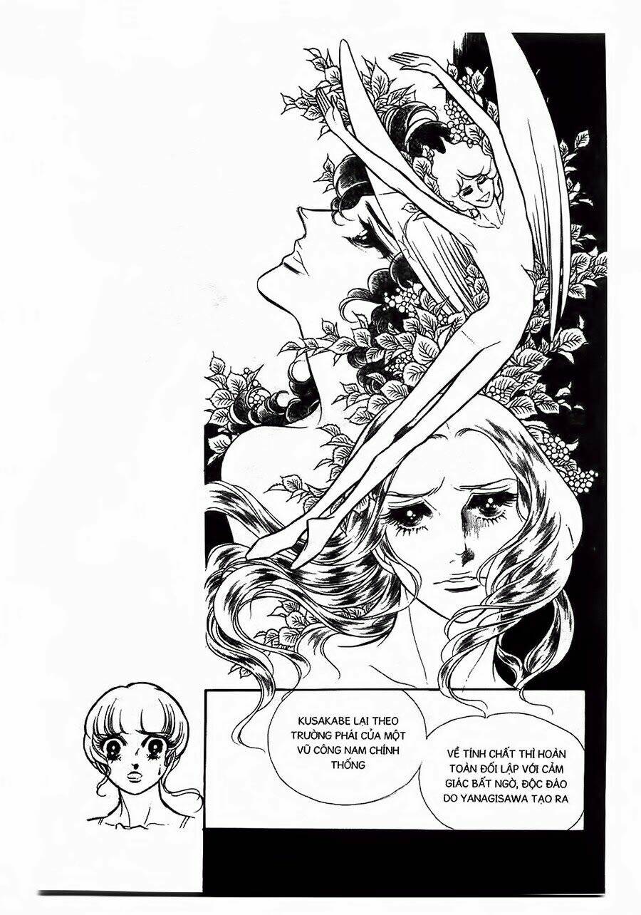 Swan - Vũ Khúc Thiên Nga: Chapter 13