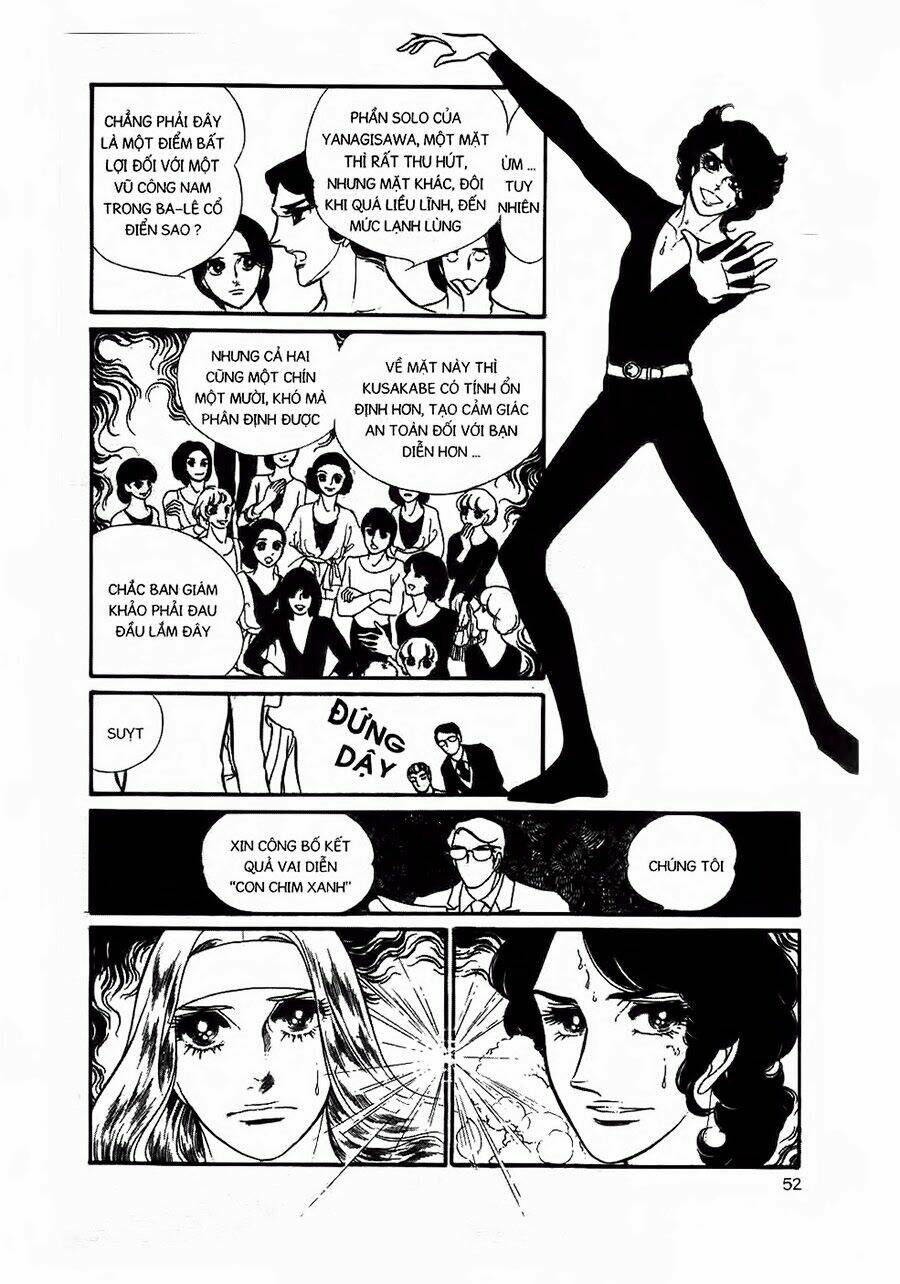 Swan - Vũ Khúc Thiên Nga: Chapter 13