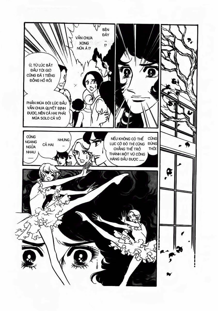 Swan - Vũ Khúc Thiên Nga: Chapter 13