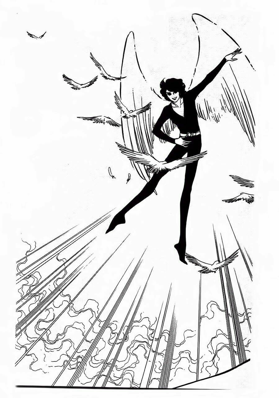 Swan - Vũ Khúc Thiên Nga: Chapter 13