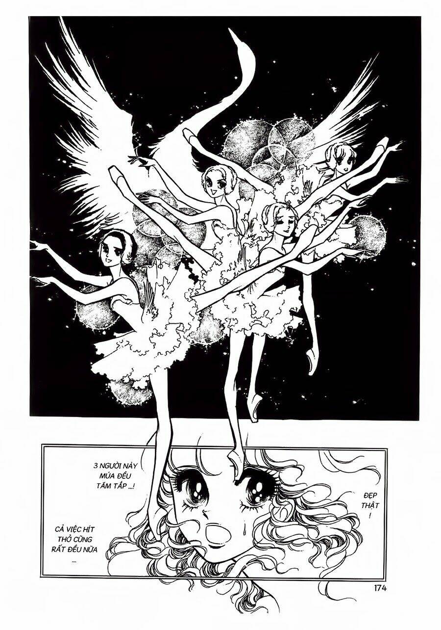 Swan - Vũ Khúc Thiên Nga: Chapter 19
