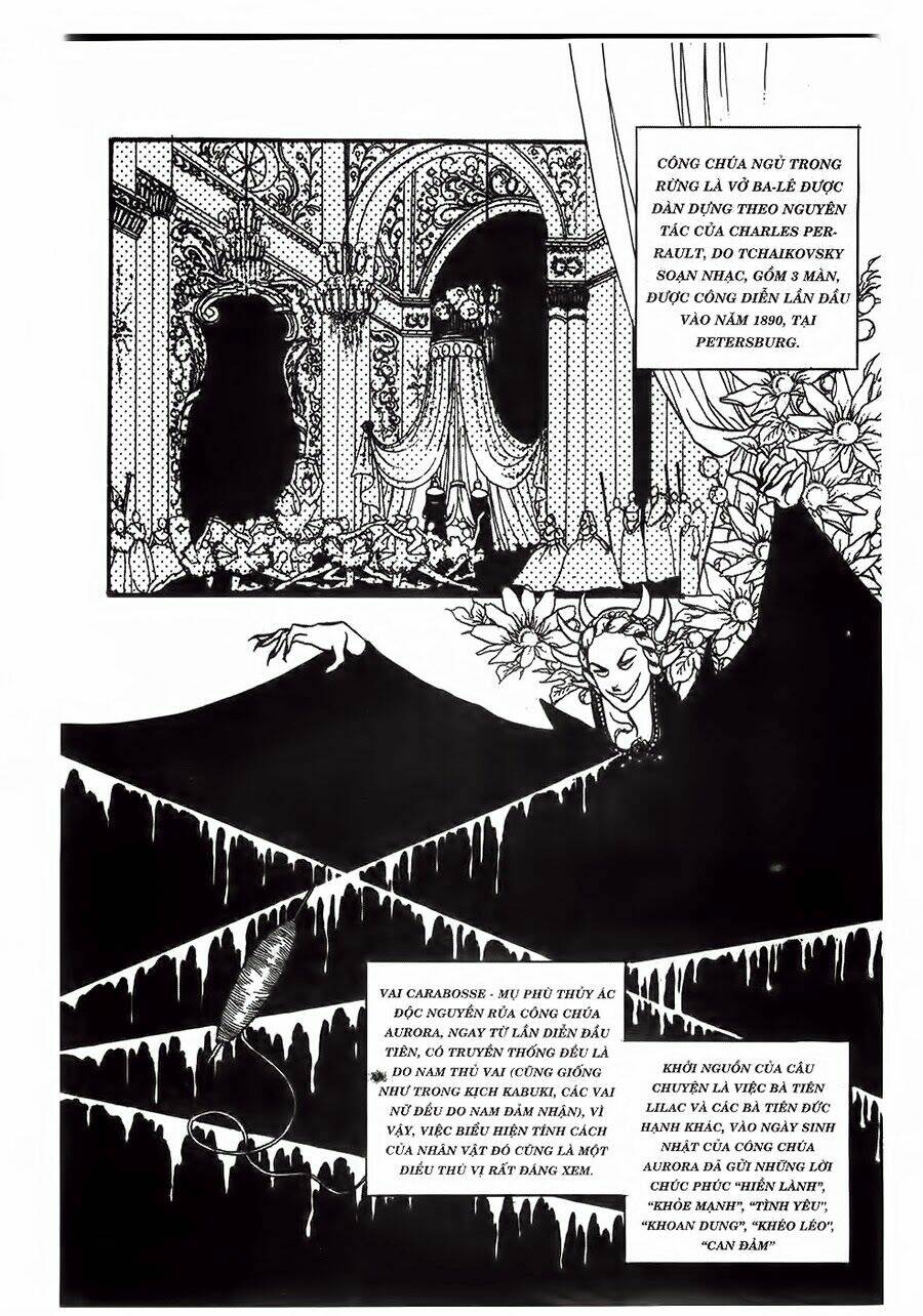 Swan - Vũ Khúc Thiên Nga: Chapter 21