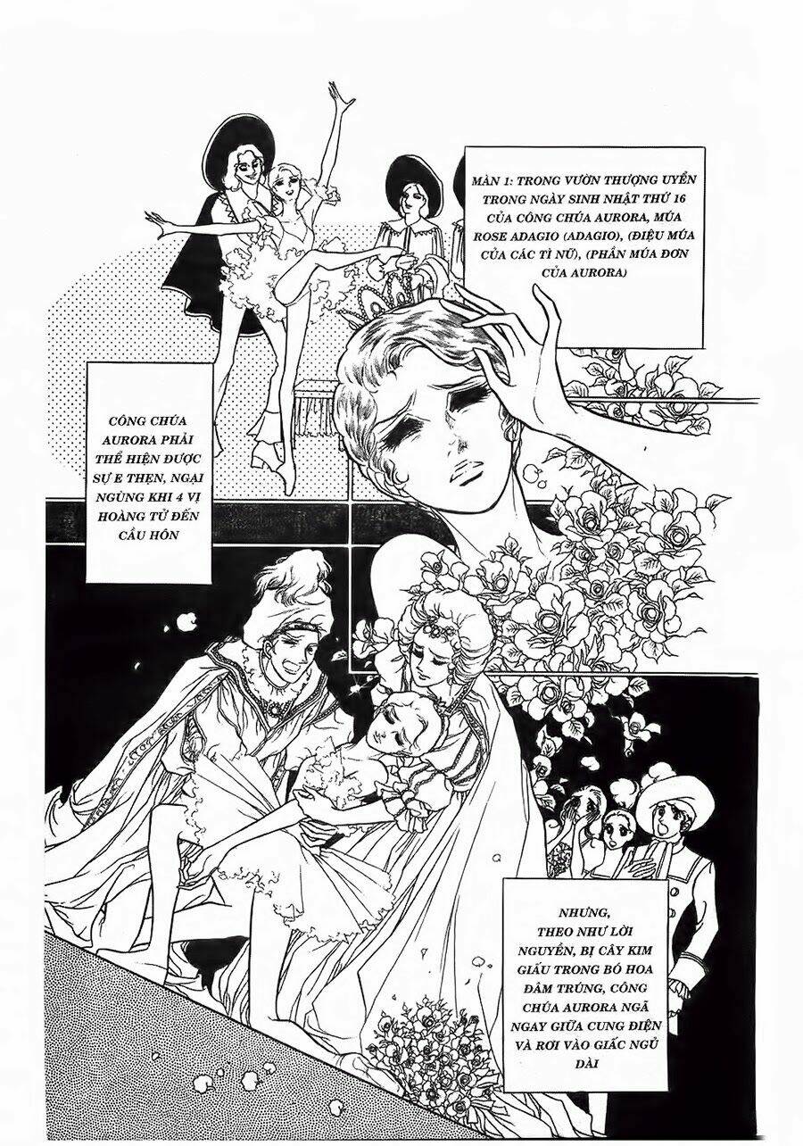 Swan - Vũ Khúc Thiên Nga: Chapter 21