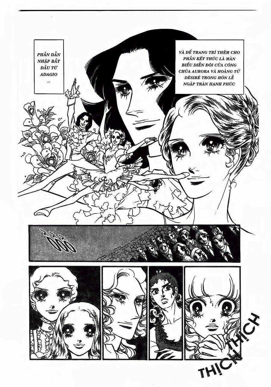 Swan - Vũ Khúc Thiên Nga: Chapter 22