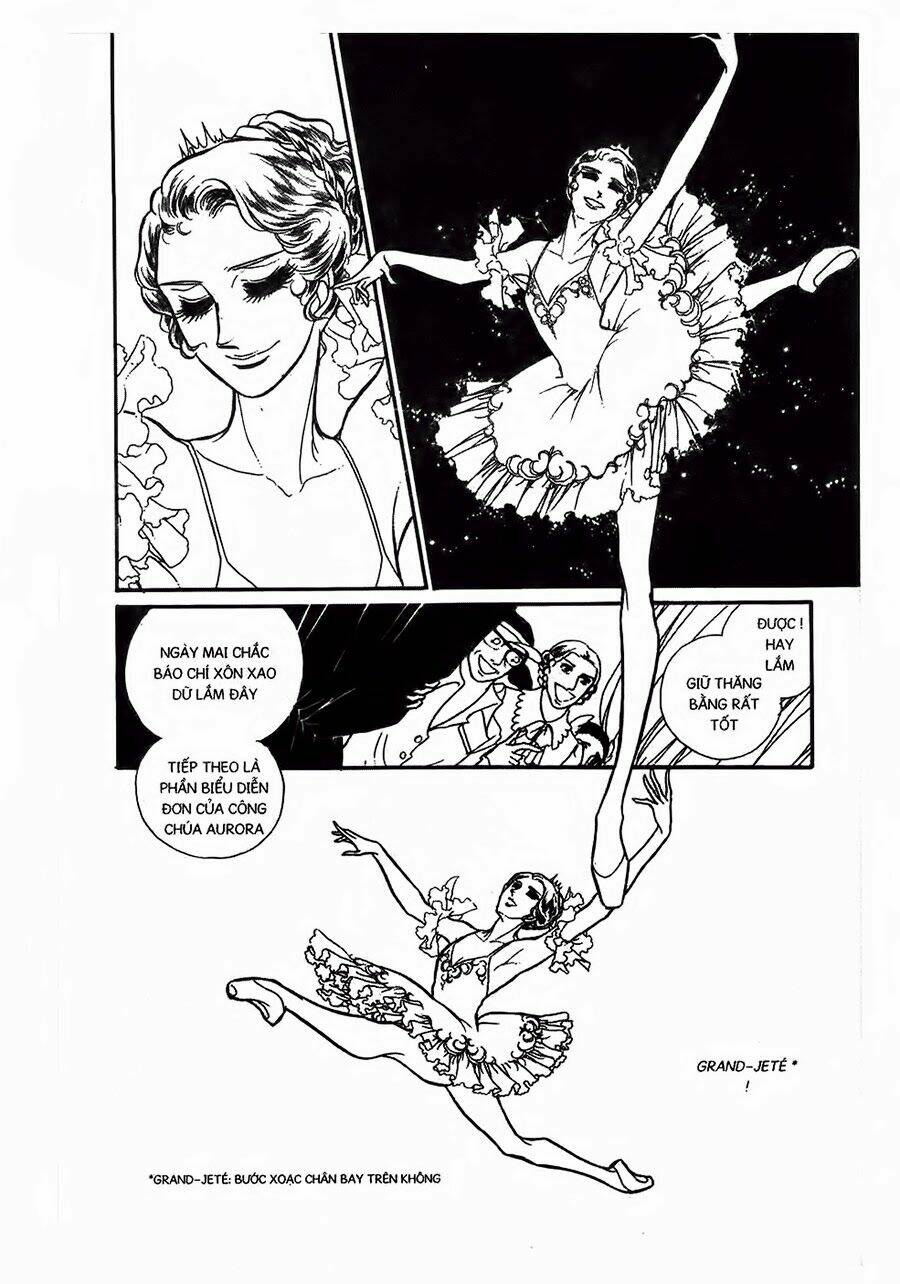 Swan - Vũ Khúc Thiên Nga: Chapter 23