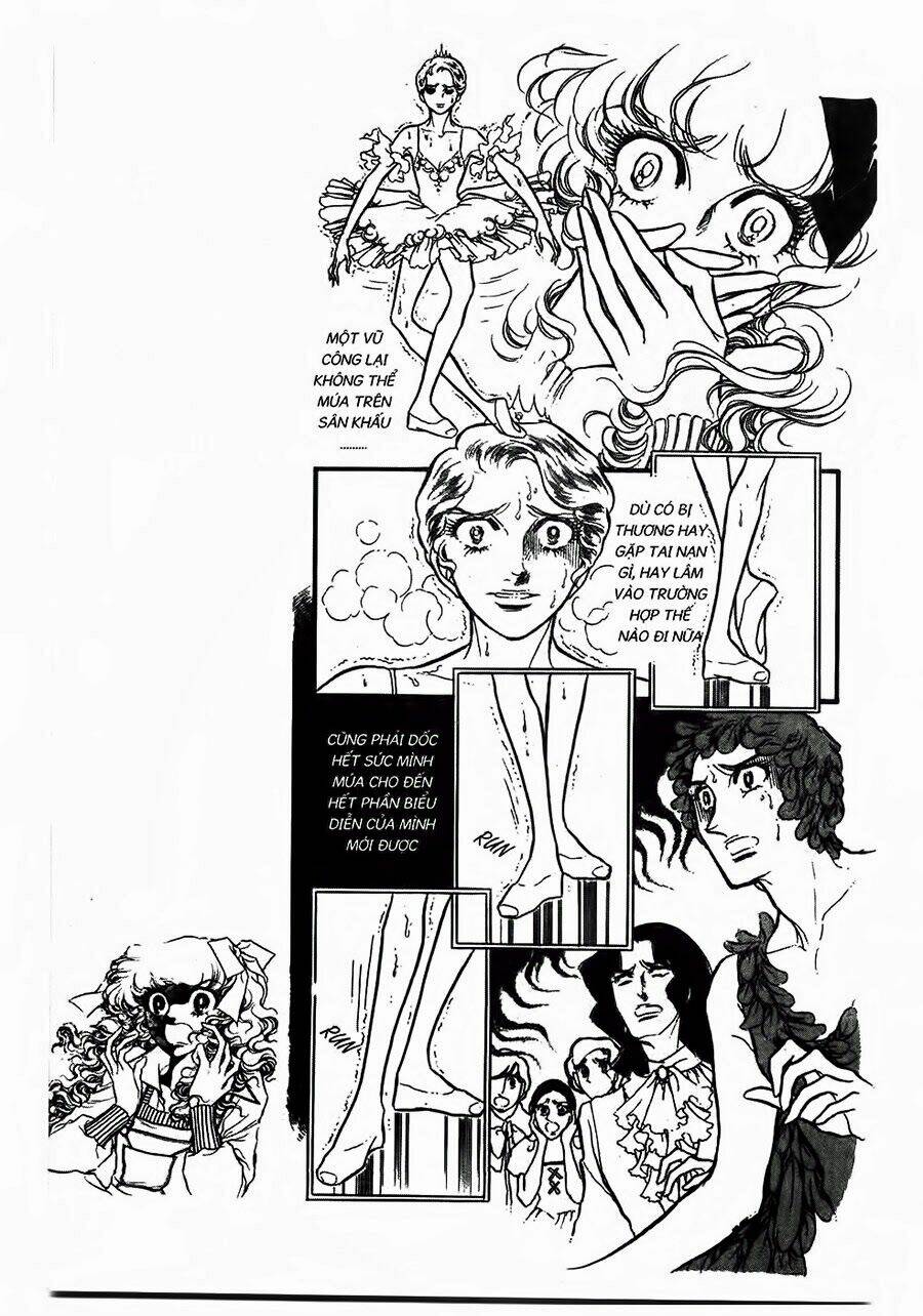 Swan - Vũ Khúc Thiên Nga: Chapter 23